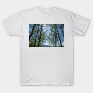 Colorado Mountain 5 T-Shirt
